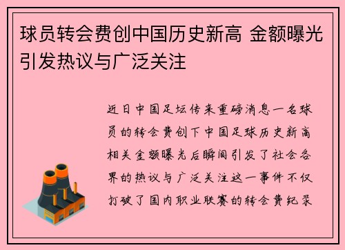 球员转会费创中国历史新高 金额曝光引发热议与广泛关注